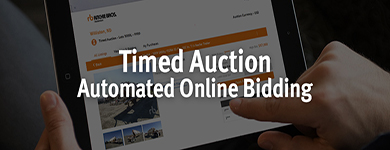 Timed Auction Lots
