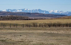 LC Ranching - AB/Foothills County
